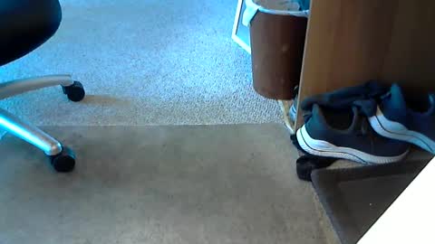 lynne_cd_nj online show from 1, 10, 2025