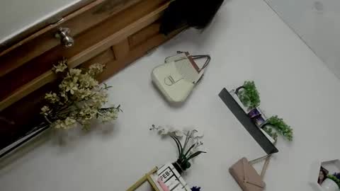 Janelovesu online show from 13, 2, 2026