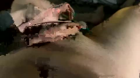 Maasssiv online show from 2, 3, 2025