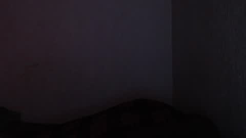 Made online show from 17, 12, 2024