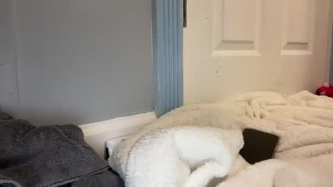 madibaby999 online show from 15, 1, 2026