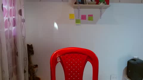 Snapshot of madisoncambel chatting on 29, 1, 2025 Madison Cambel online show from 29, 1, 2025