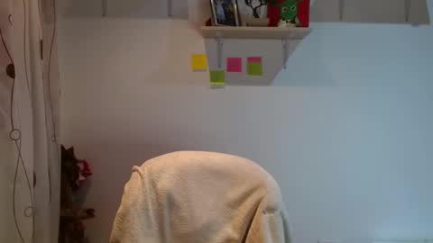Snapshot of madisoncambel chatting on 12, 2, 2025 Madison Cambel online show from 12, 2, 2025