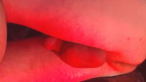 maestro2017 online show from 8, 12, 2024