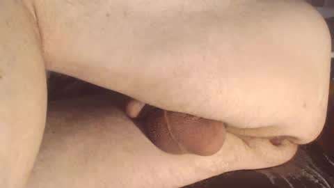 maestro2017 online show from 12, 1, 2025