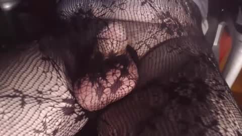 maestro2017 online show from 24, 2, 2025