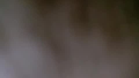 maestronex online show from 25, 12, 2024