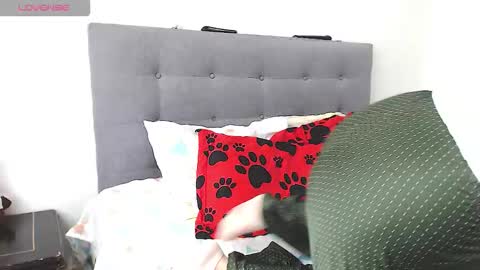 magic_stephany__ online show from 4, 2, 2026