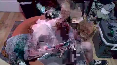 magnetic77slav online show from 9, 1, 2026