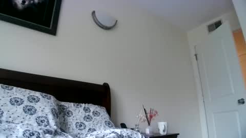 magnitaaa online show from 23, 12, 2024