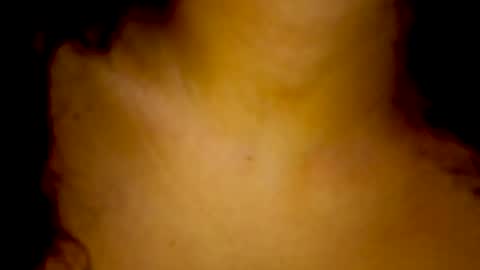   Lauu online show from 15, 11, 2025