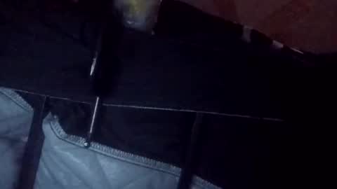 makeunumb88 online show from 20, 3, 2026