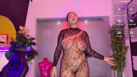   online show from 3, 12, 2025