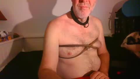Snapshot of malebdsmslut chatting on 16, 2, 2025 CommandbondageNipples bondage kink submissive lovense slave wgear. modequiethvyBondage If Password goldfish online show from 16, 2, 2025