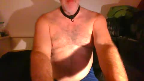 Snapshot of malebdsmslut chatting on 9, 9, 2025 CommandbondageNipples bondage kink submissive lovense slave wgear. modequiethvyBondage If Password goldfish online show from 9, 9, 2025