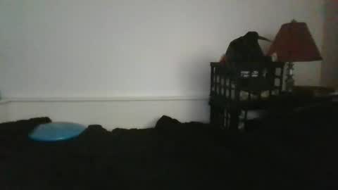 CommandbondageNipples bondage kink submissive lovense slave wgear. modequiethvyBondage If Password goldfish online show from 31, 5, 2026