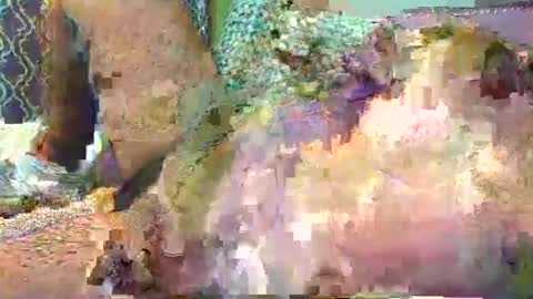 maleficientoffer online show from 6, 10, 2025