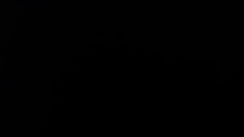 Alice Asylum online show from 2, 11, 2025