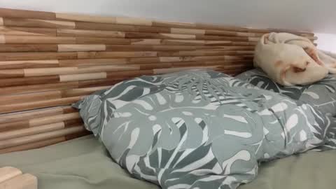 Snapshot of mamattv chatting on 12, 1, 2026 mamattv online show from 12, 1, 2026