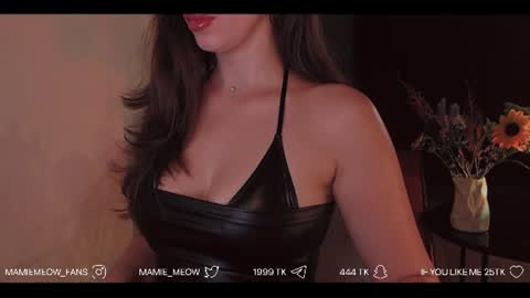 Snapshot of mamiemeow chatting on 23, 7, 2026 Your Miss Alice online show from 23, 7, 2026