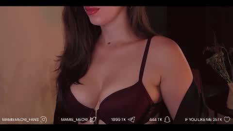 Snapshot of mamiemeow chatting on 27, 7, 2026 Your Miss Alice online show from 27, 7, 2026