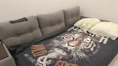 Caroline online show from 12, 1, 2025