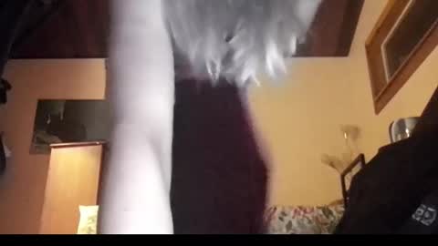 Snapshot of mangoseeed chatting on 1, 11, 2025 mangoseeed online show from 1, 11, 2025