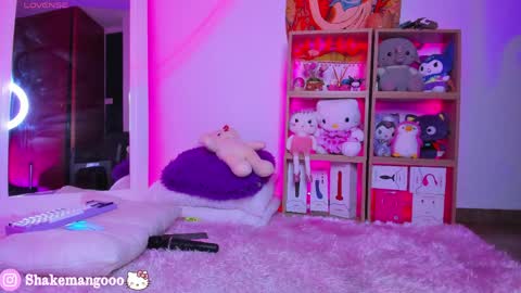 Snapshot of mangoshake_ chatting on 6, 4, 2026 Manguito online show from 6, 4, 2026