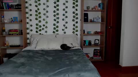 Danny online show from 6, 3, 2025