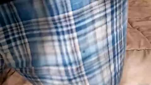 Snapshot of manlymanson chatting on 14, 9, 2025 Dickinabox online show from 14, 9, 2025