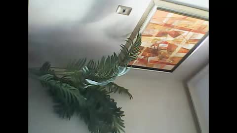 Snapshot of manu_481 chatting on 7, 3, 2025 manu_481 online show from 7, 3, 2025