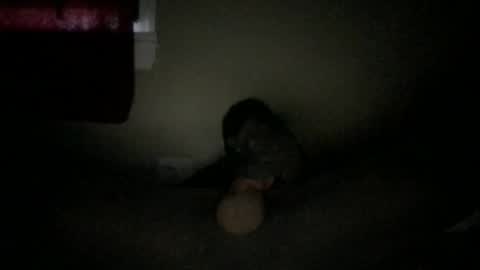 marc059 online show from 6, 10, 2025