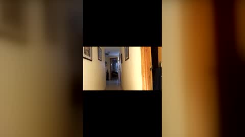 marcos260526 online show from 1, 2, 2026