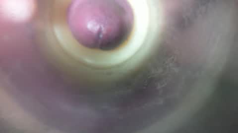 Marc online show from 19, 2, 2026