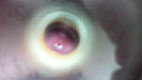 Marc online show from 23, 2, 2026