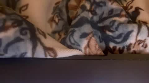 Elle online show from 23, 11, 2025