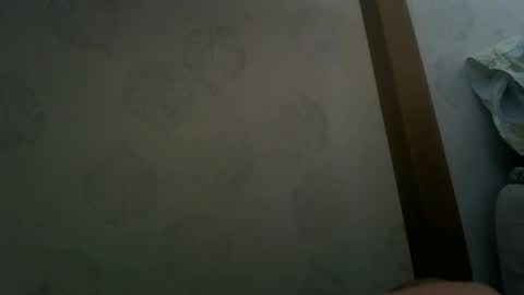 margotshorse online show from 19, 3, 2026