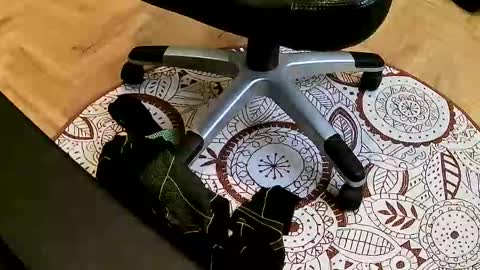 marcoxxl online show from 22, 3, 2026