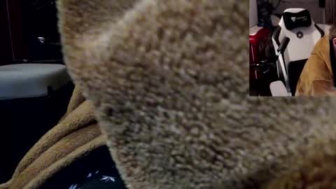 Snapshot of markass87 chatting on 4, 4, 2026 markass87 online show from 4, 4, 2026