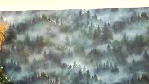 markshot_ online show from 14, 12, 2025