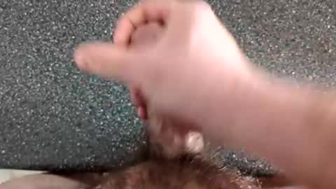 marrieddadeh online show from 23, 3, 2026