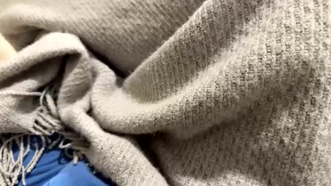 Snapshot of marriedthickdick37 chatting on 12, 1, 2025 marriedthickdick37 online show from 12, 1, 2025