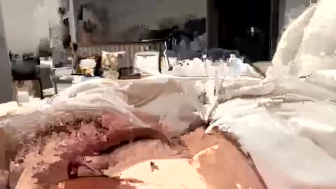 Snapshot of marriedthickdick37 chatting on 12, 2, 2025 marriedthickdick37 online show from 12, 2, 2025