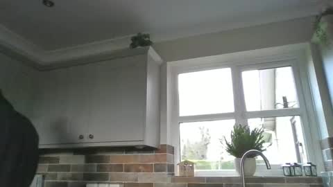 Snapshot of martinrgbxxxx chatting on 15, 12, 2024 martinrgbxxxx online show from 15, 12, 2024