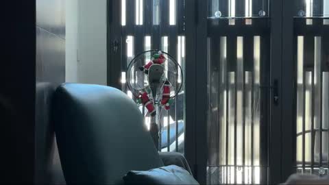 Telegram - FlyingDutchmana online show from 27, 3, 2026