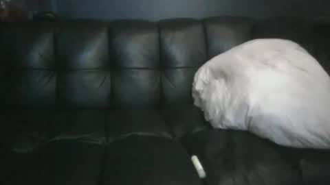 Masc39 online show from 12, 4, 2026