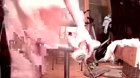 maschpro online show from 24, 10, 2025