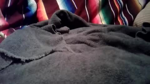 mastrdebator online show from 1, 12, 2025