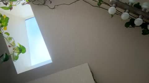 Snapshot of masturbatingmariamiller chatting on 28, 11, 2025 masturbatingmariamiller online show from 28, 11, 2025