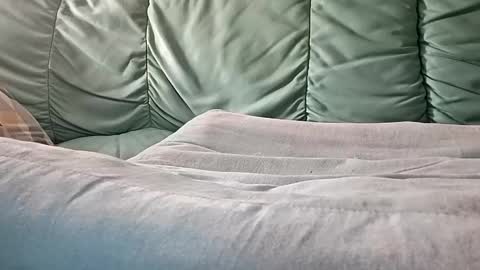 Snapshot of mathisdavid6757 chatting on 9, 11, 2025 mathisdavid6757 online show from 9, 11, 2025